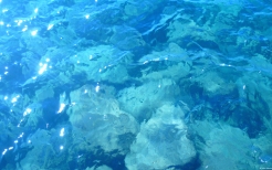 Crystal blue water, Lake Tahoe, California, U.S.