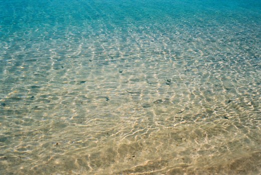 Playa-Ancon-clear-water-fish-